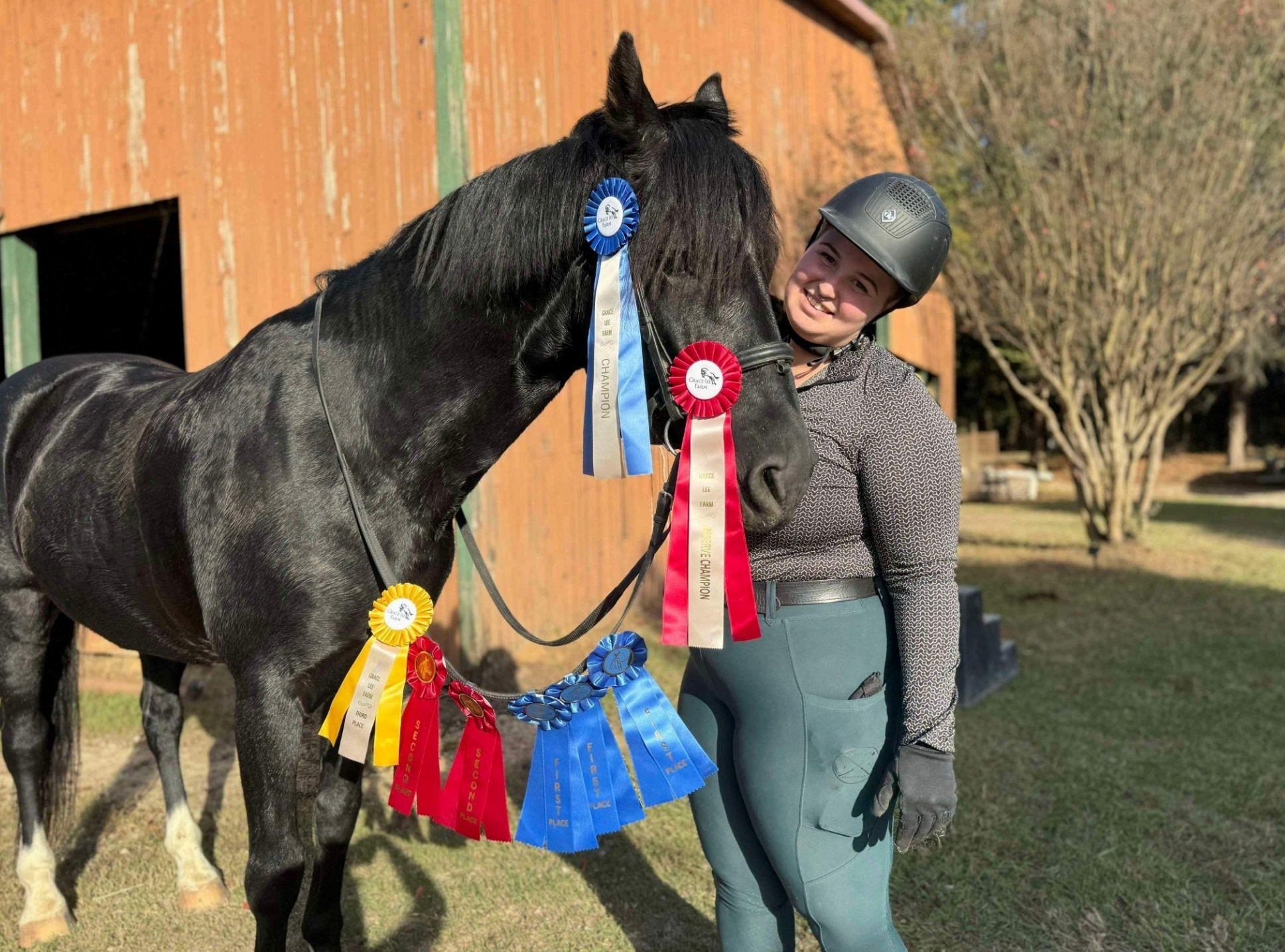 Riding Lessons, Summer Camp, and Leasing – Chapter One Equestrian